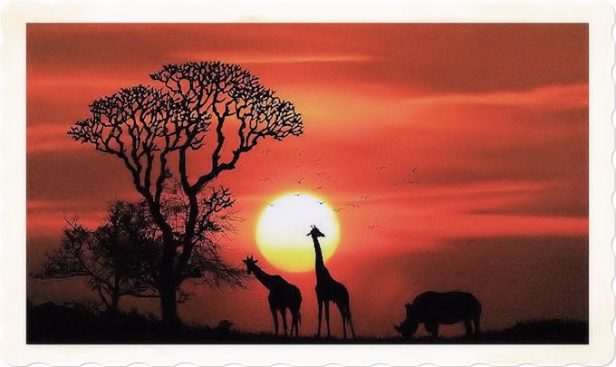 African panorama