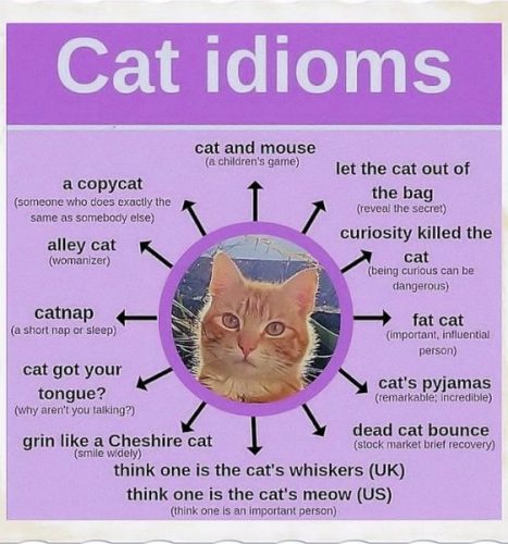 English language idioms