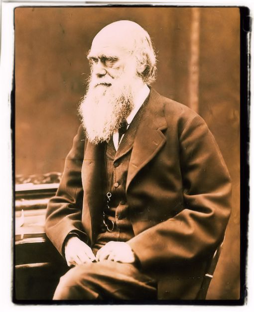 Charles Darwin Charles Darwin