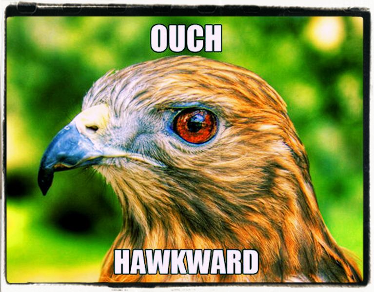 Puns riddles and jokes Puns riddles and jokes