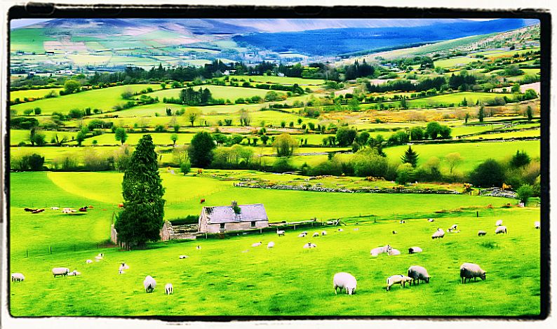 Ireland quotations