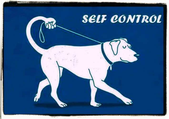 Quotes and aphorisms on self-control Self-control quotes and aphorisms